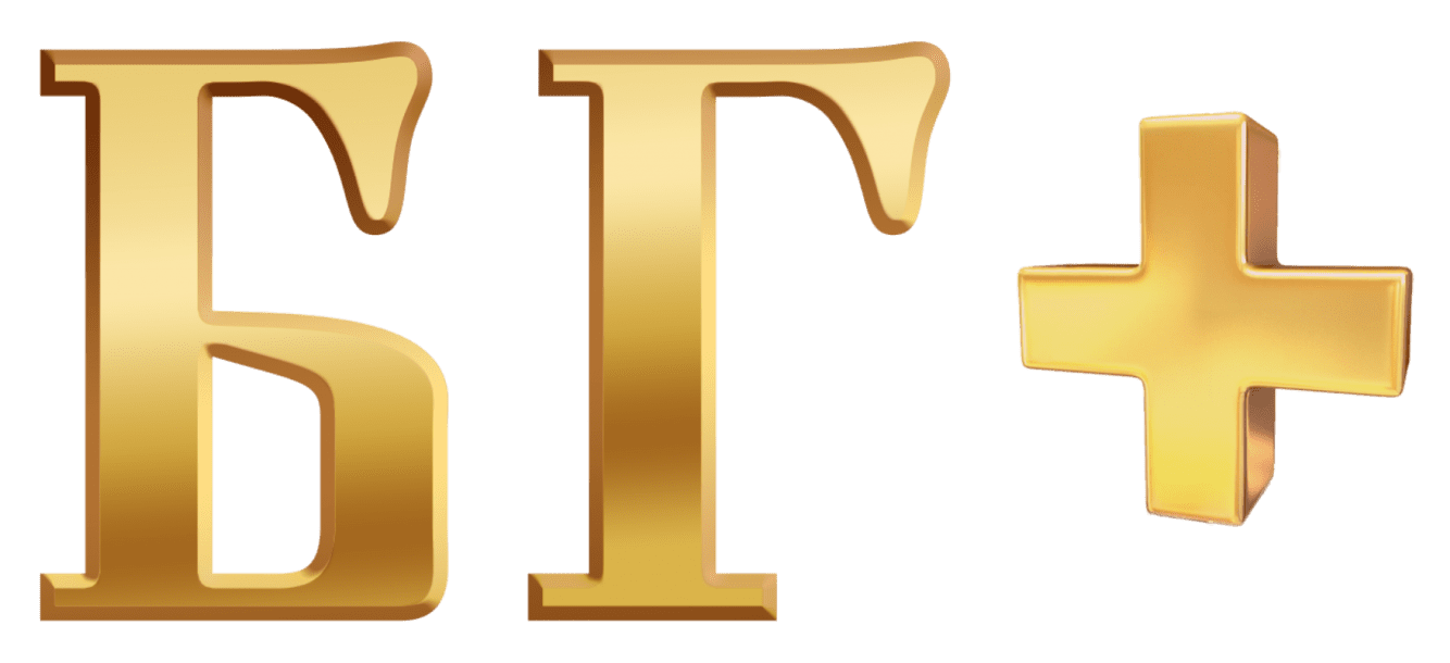 Partner 1